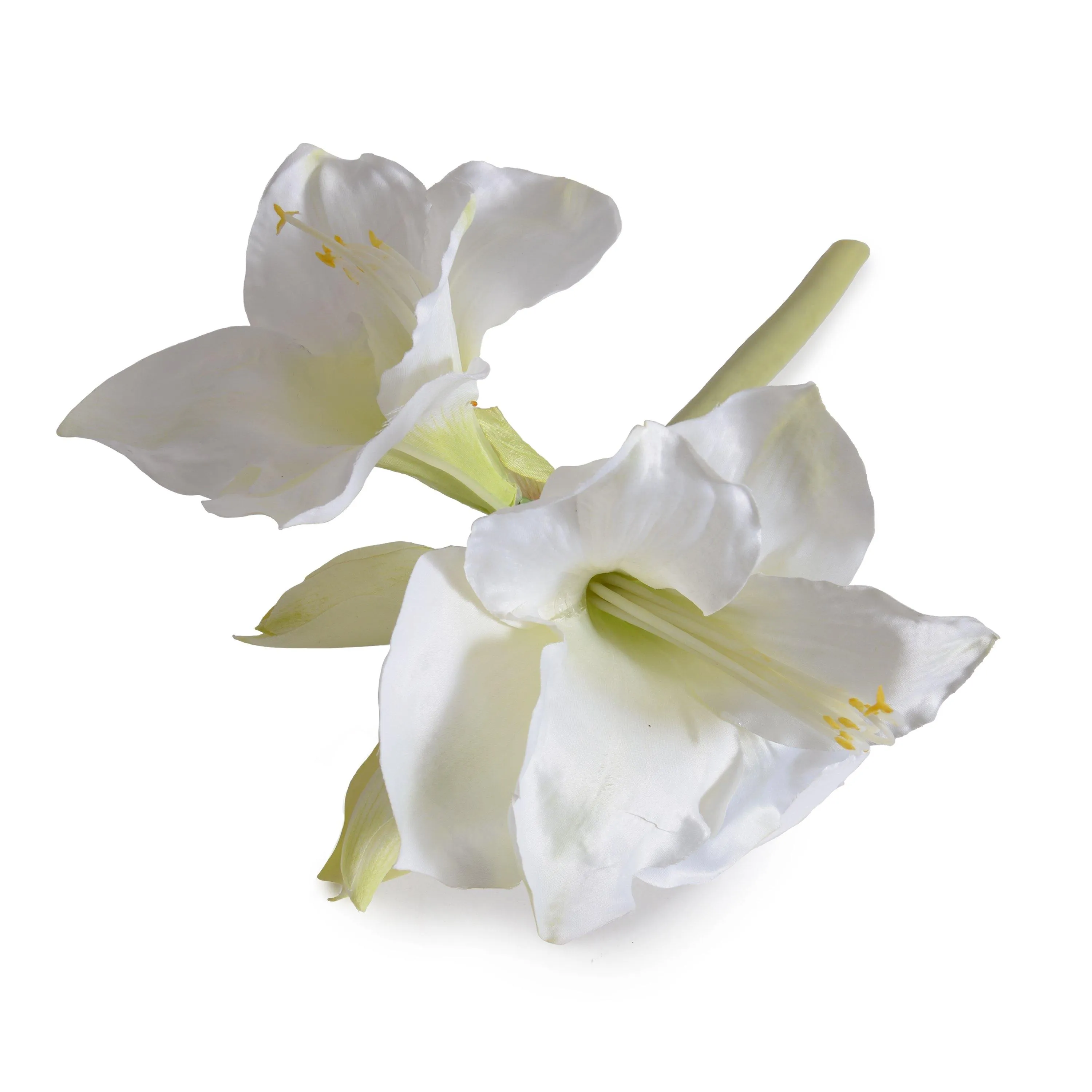 Amaryllis Stem, 20" L - White