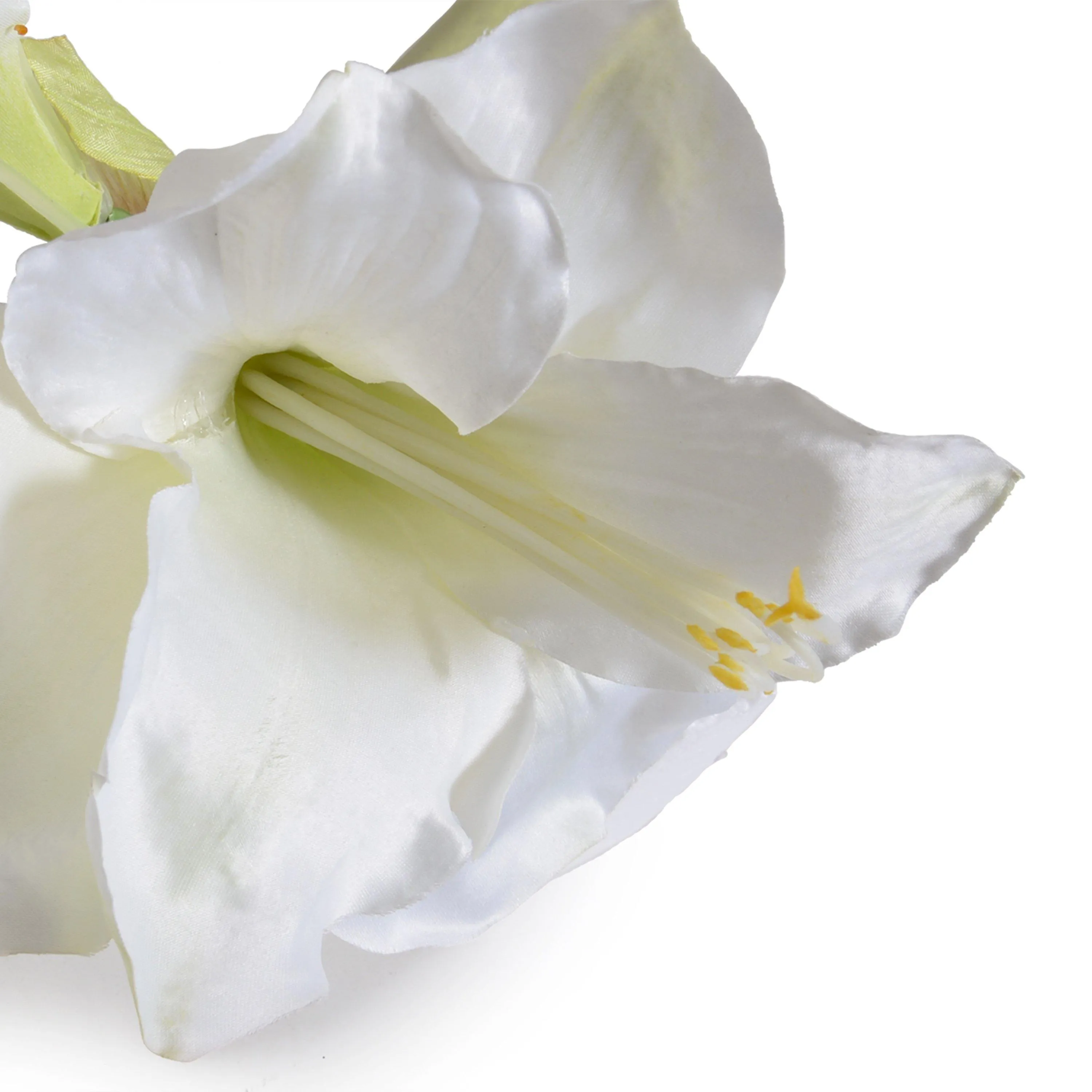 Amaryllis Stem, 20" L - White