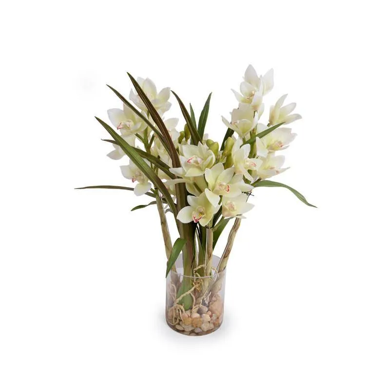 Cymbidium Orchid in Glass 24"H