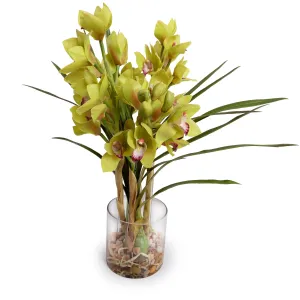 Cymbidium Orchid in Glass 24"H