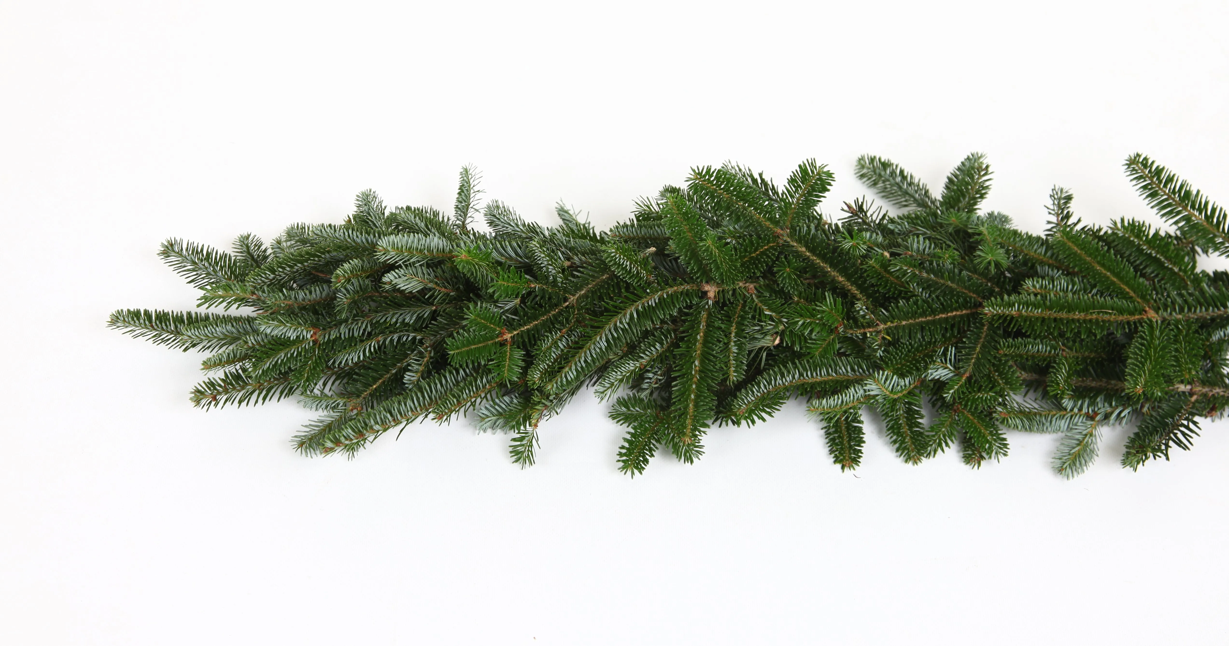 Fresh Fraser Fir Christmas Garland