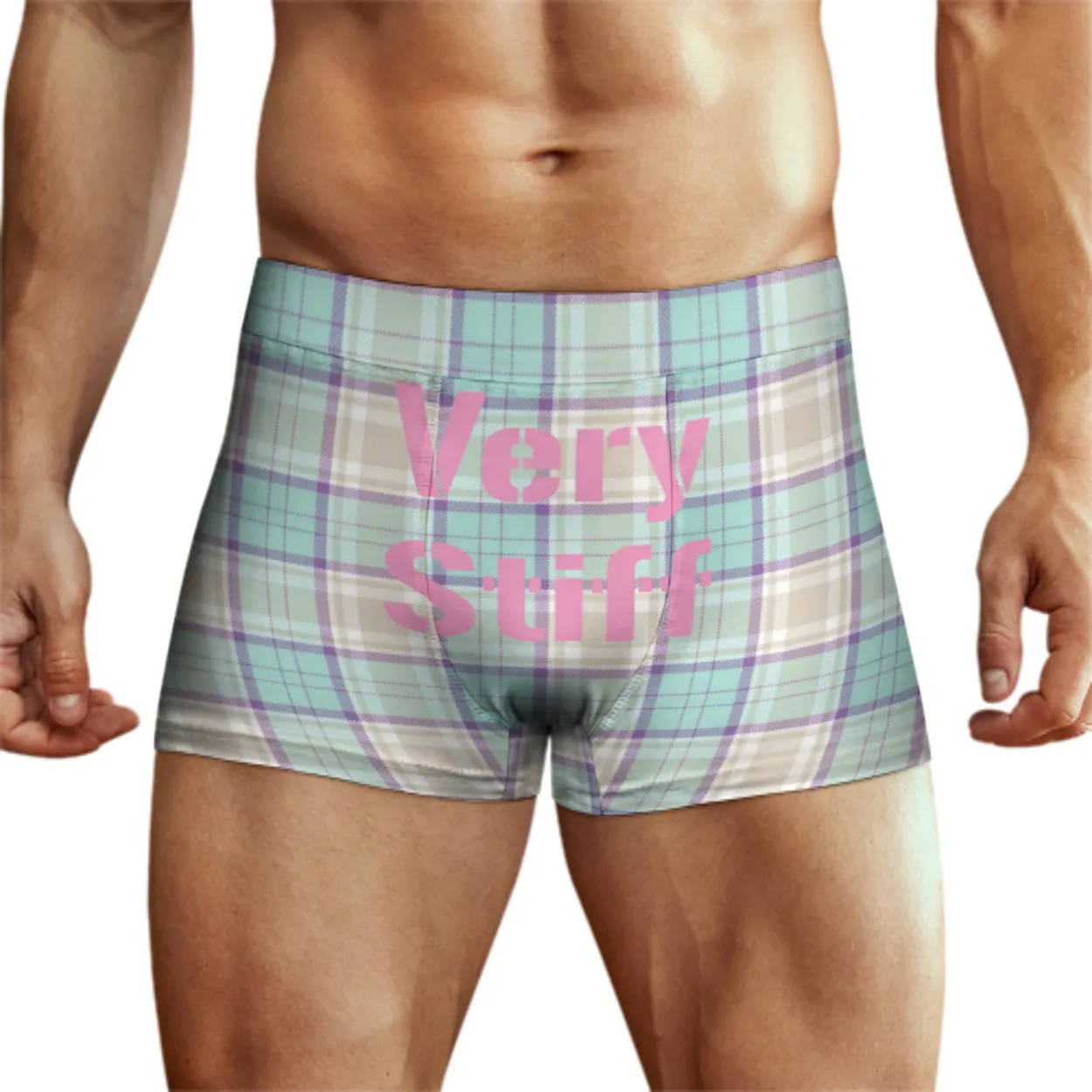 Gingham Tartan Men's Boxer Shorts (D7266859)