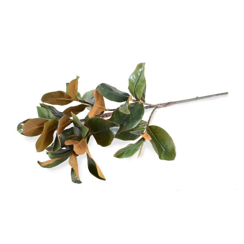 Magnolia Leaf Spray, 36" L