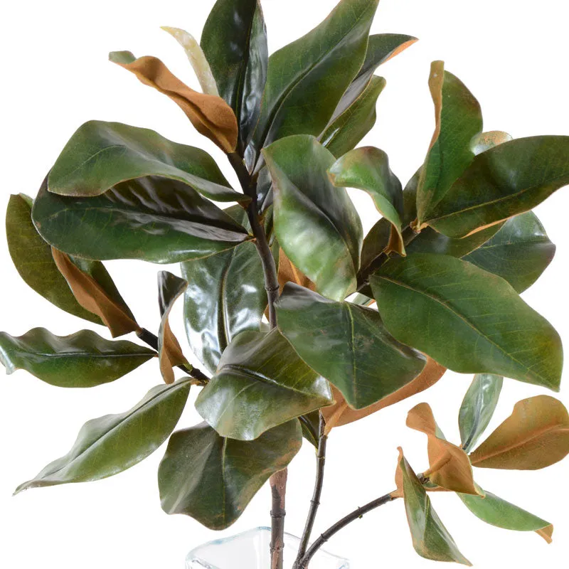 Magnolia Leaf Spray, 36" L