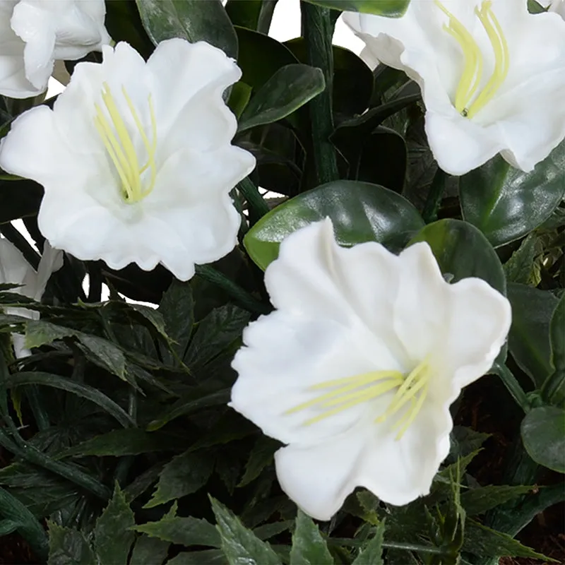 Petunia Tabletop arrangement, 15"H -White