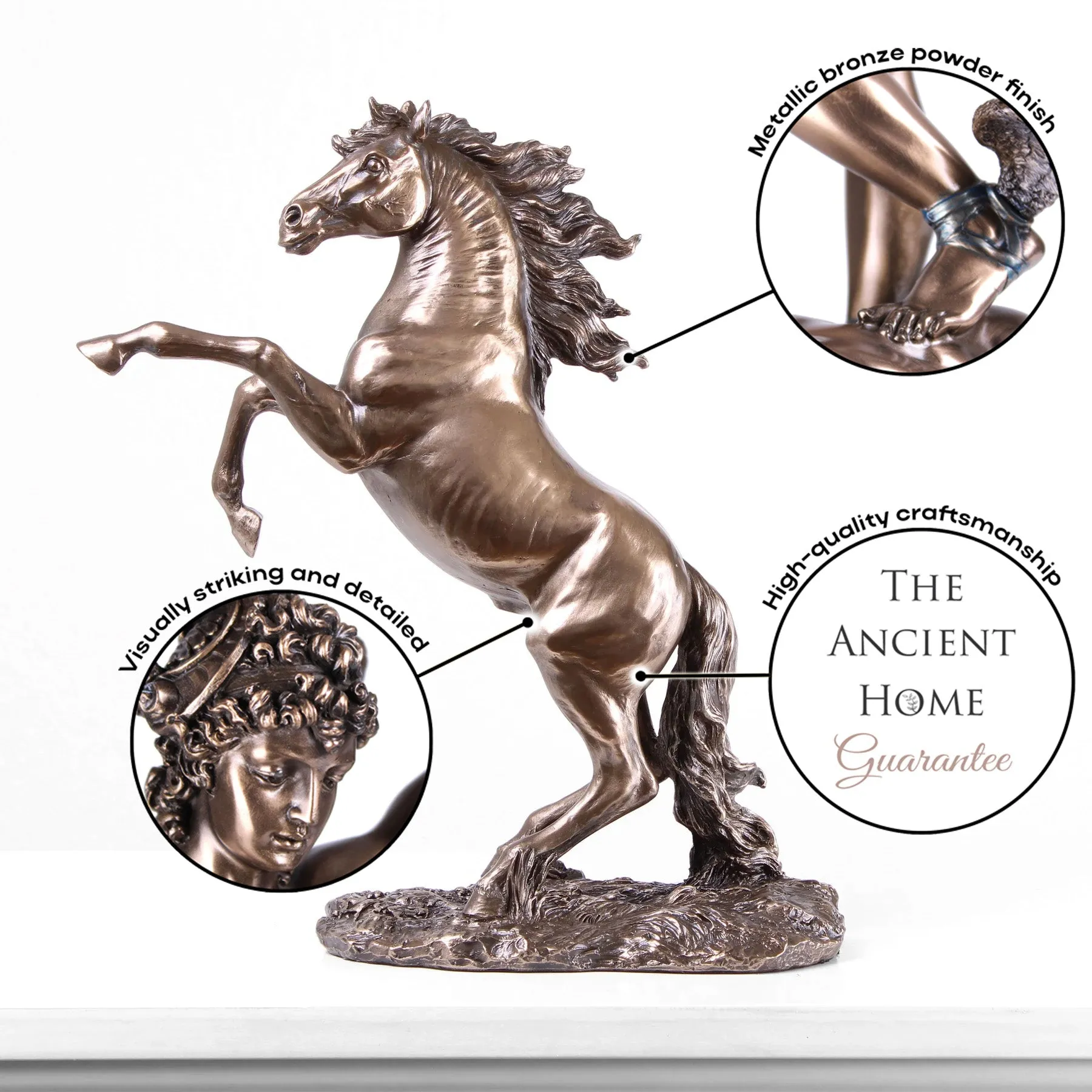 Prancing Horse Sculpture in Bronze (Cold Cast Bronze Animal Statue)