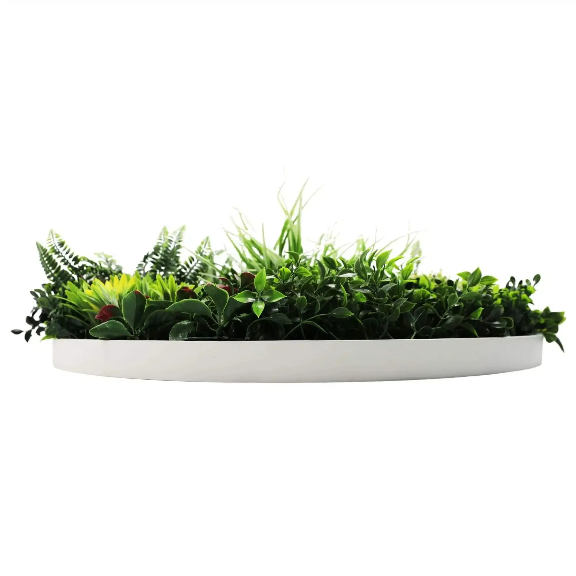 Slimline Artificial Green Wall Disc Art 80cm Colour Fresh UV Resistant (White)